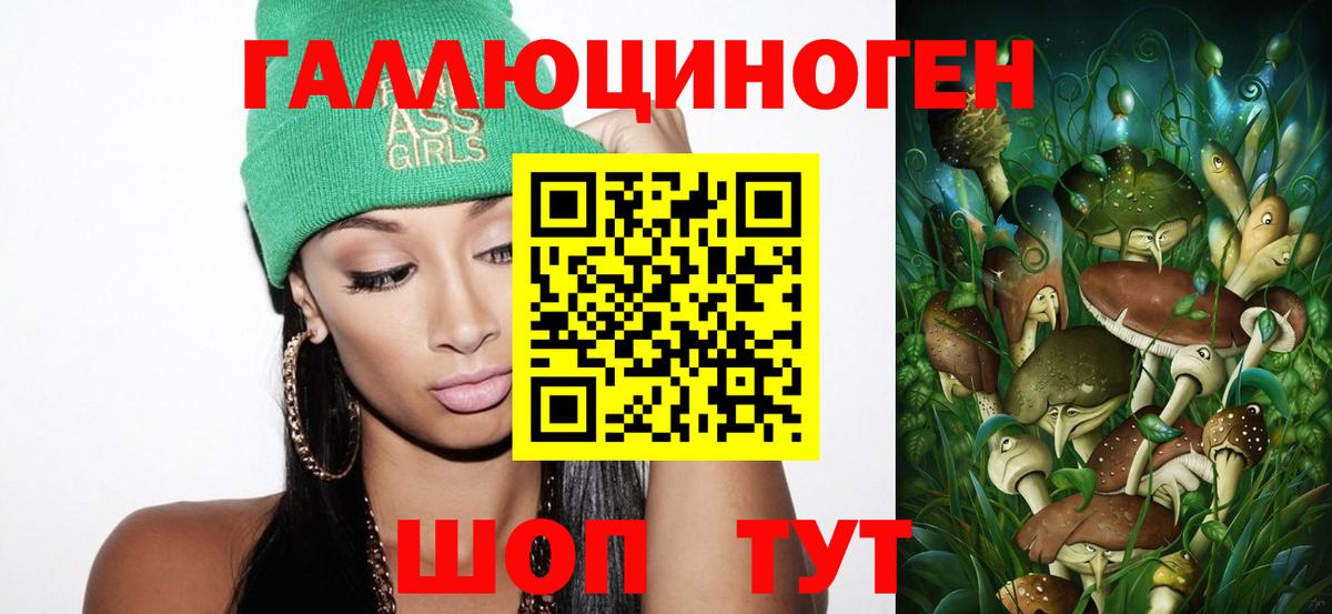 Калининград  Галлюциногенные грибы Psilocybine cubensis  наркотики  Вход с VPN 